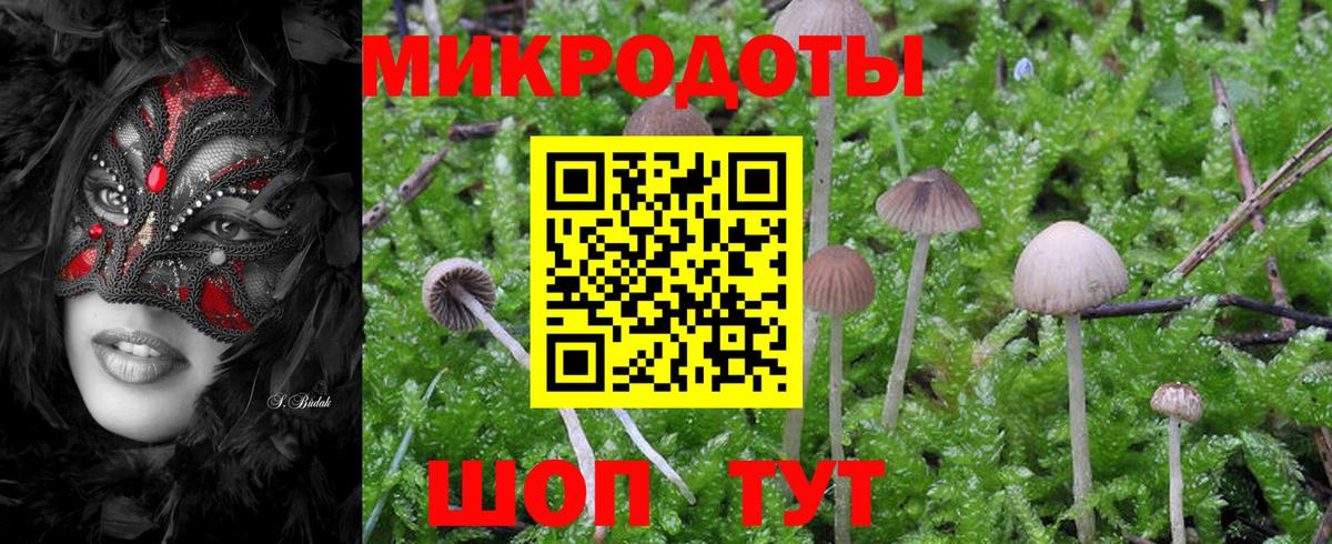 Галлюциногенные грибы Magic Shrooms Елабуга