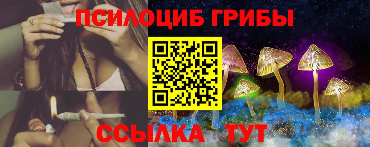 Елабуга  Псилоцибиновые грибы Cubensis  Вход с VPN 